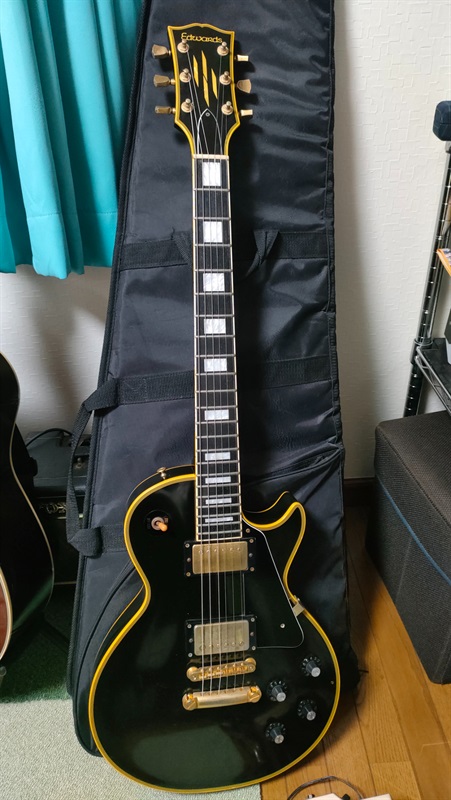 Edwards E-LP-98LTCの画像